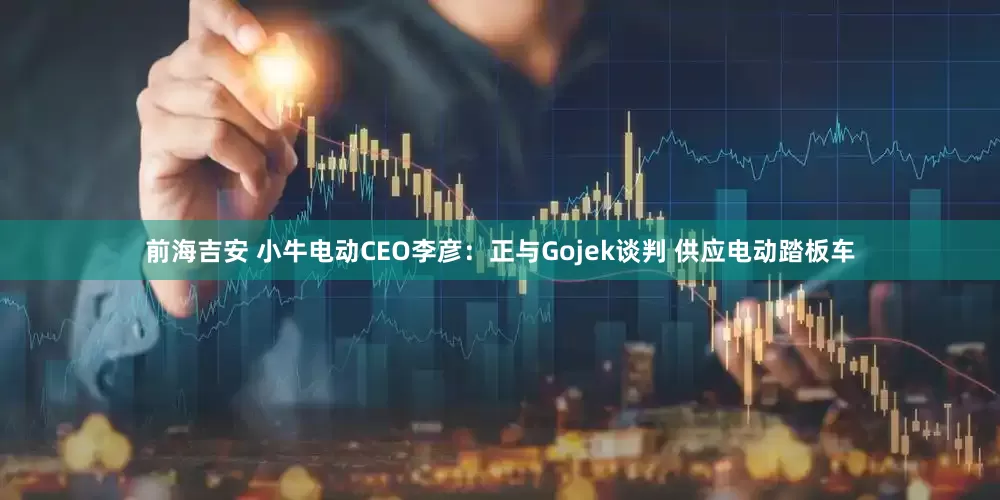 前海吉安 小牛电动CEO李彦：正与Gojek谈判 供应电动踏板车