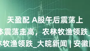 天盈配 A股午后震荡上行：半导体震荡走高，农林牧渔领跌_大皖新闻 | 安徽网