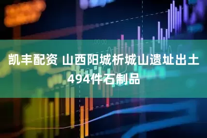 凯丰配资 山西阳城析城山遗址出土494件石制品
