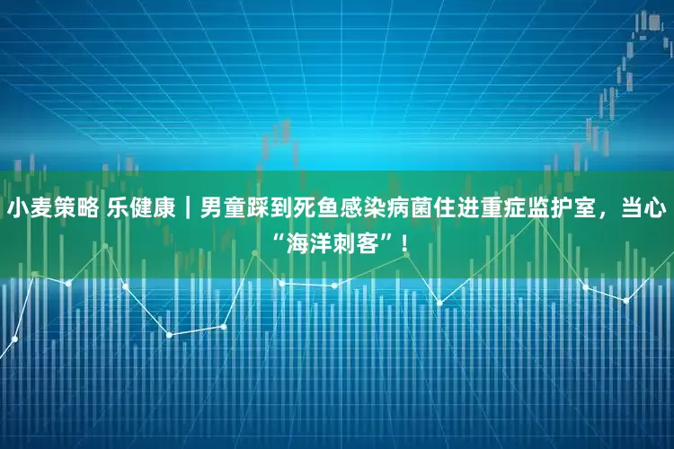 小麦策略 乐健康｜男童踩到死鱼感染病菌住进重症监护室，当心“海洋刺客”！