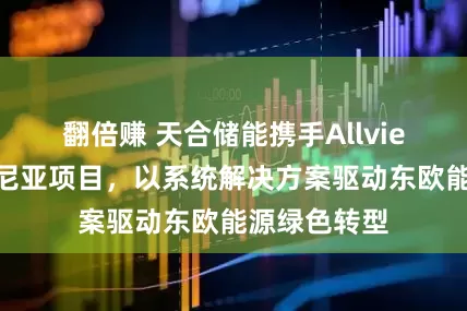 翻倍赚 天合储能携手Allview共建罗马尼亚项目，以系统解决方案驱动东欧能源绿色转型