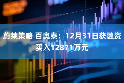 蔚莱策略 百奥泰：12月31日获融资买入12871万元