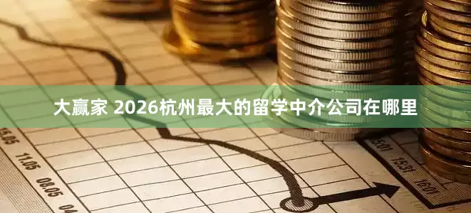 大赢家 2026杭州最大的留学中介公司在哪里